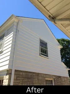 Completed deck care and staining project near Park Ridge